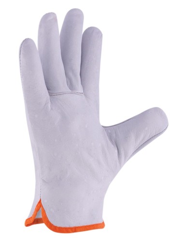 Guantes Master NB 3L Internacional